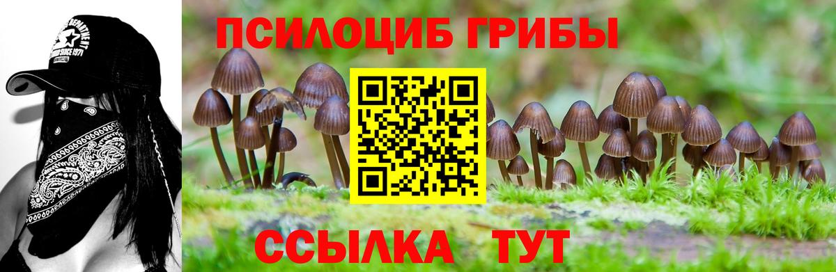 Псилоцибиновые грибы мухоморы  Галлюциногенные грибы мицелий  Партизанск  Вход с VPN 